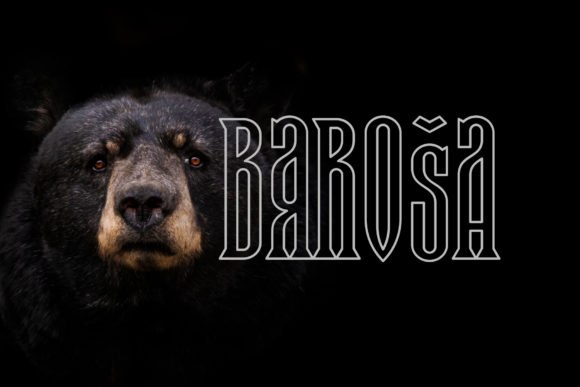 Baroša: A Bold 3D Display Font for Impactful Designs